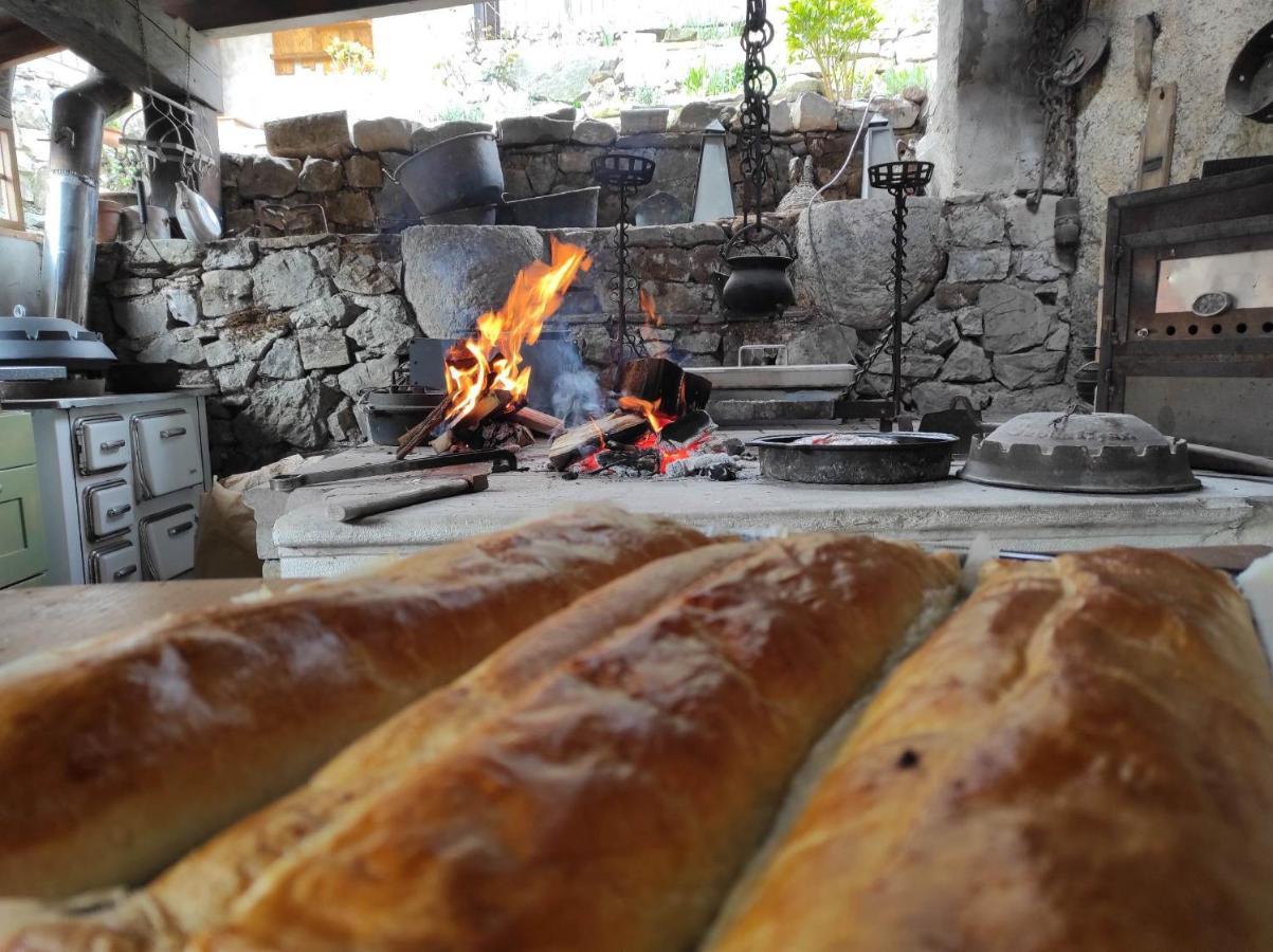 Toncevi Eco Estate Otel Branik Dış mekan fotoğraf